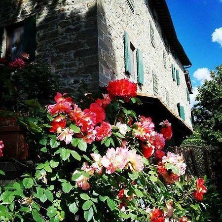 Podere I Rovai-Apt Il Rifugio- In The Heart Of Tuscany Reggello Exterior foto