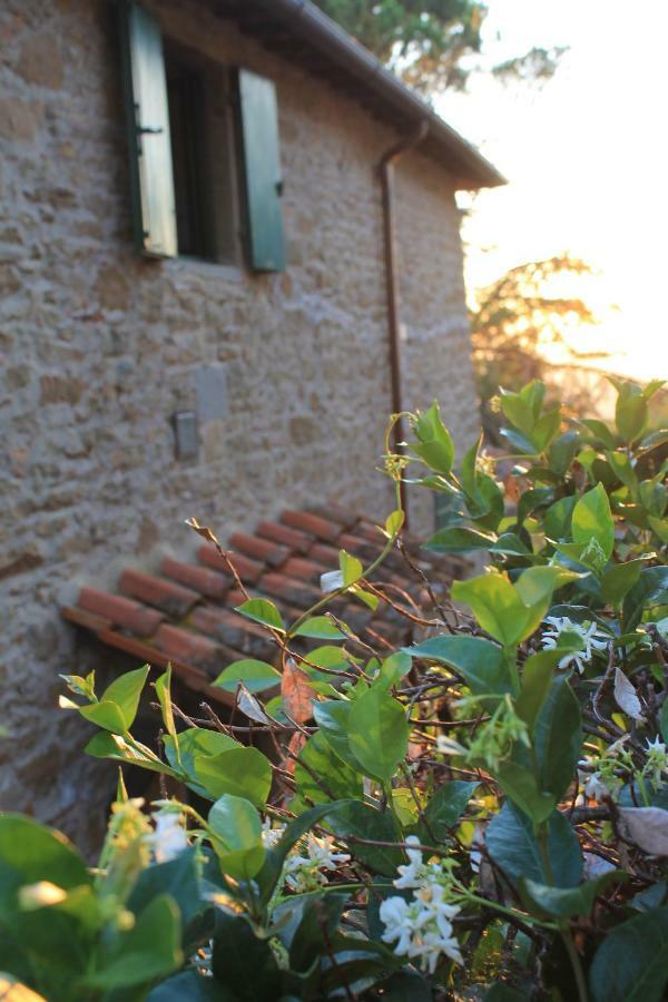 Podere I Rovai-Apt Il Rifugio- In The Heart Of Tuscany Reggello Exterior foto