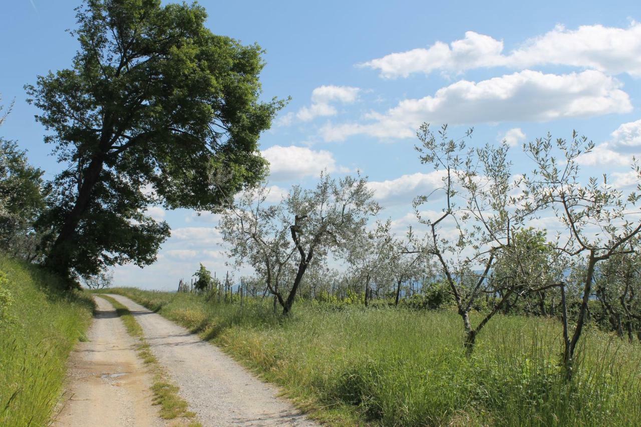 Podere I Rovai-Apt Il Rifugio- In The Heart Of Tuscany Reggello Exterior foto